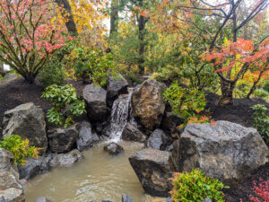 Waterfall, Dallas City Park Japanese garden