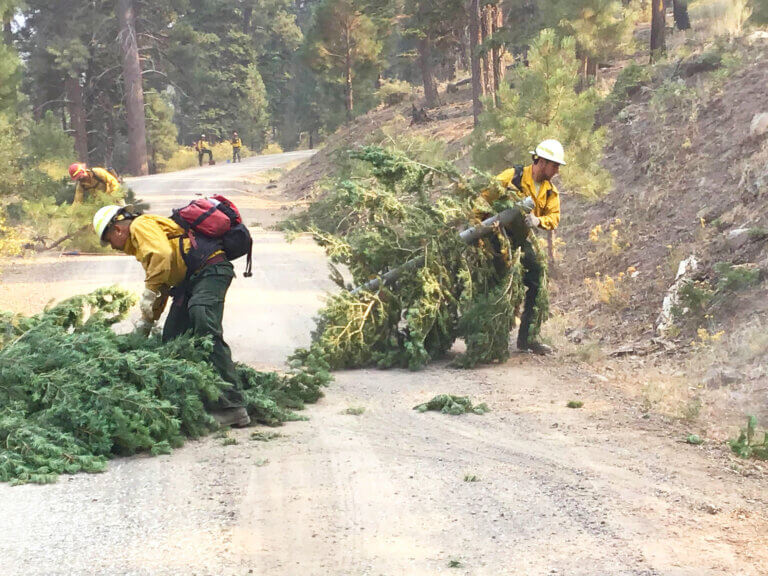 Two firefighters remove cut trees from a road