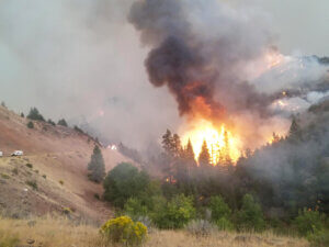 Trees in a valley below a road in flames