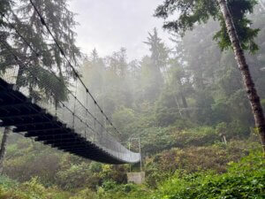 A view of the suspension bridge in the mist
