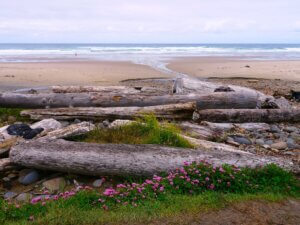 Ocean scenic at Beverly Beach with drift logs in the foreground