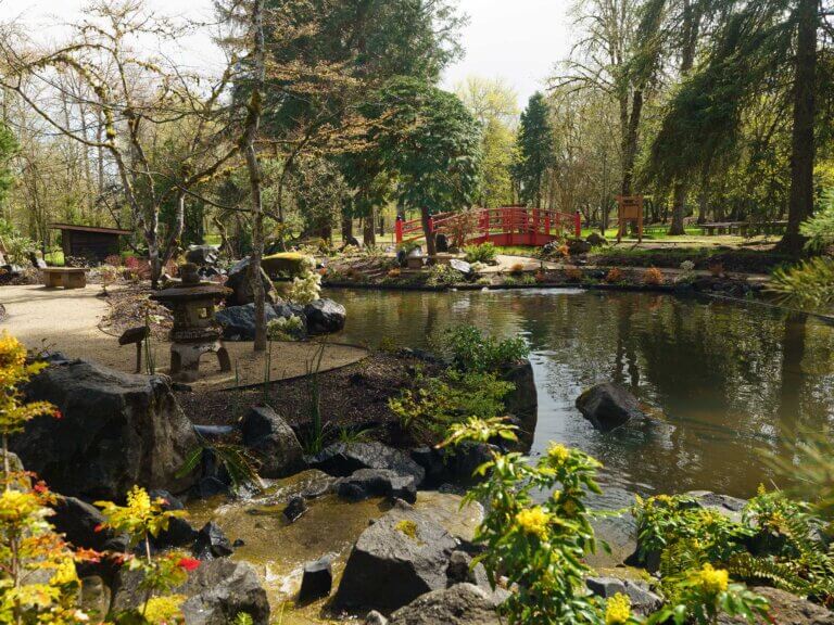 A view of a water feature in a Japanese garden