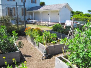 Raised garden beds at the Yaquina Bay Lighthouse