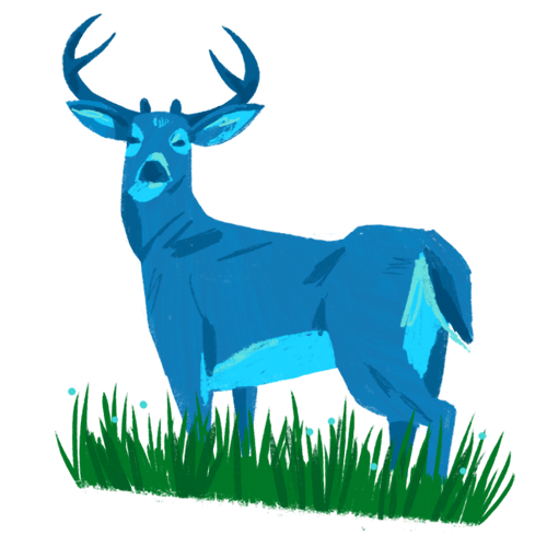 stag